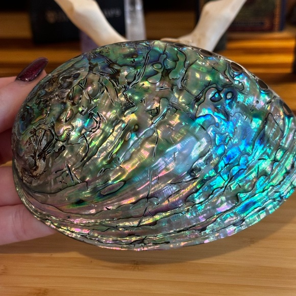 Organic white sage, abalone shell & wood base smudge bundle! 🔮 - Picture 5 of 9